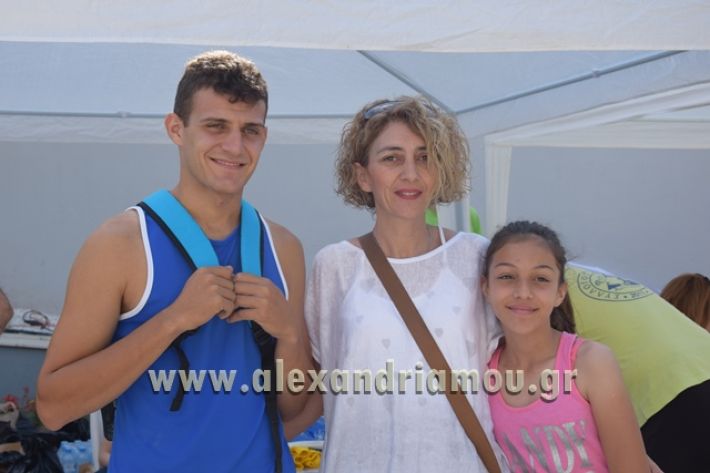 alexandriamou_1_alexandrinos_dromos007